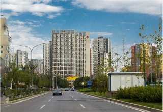 科宁脂肪醇华南代理